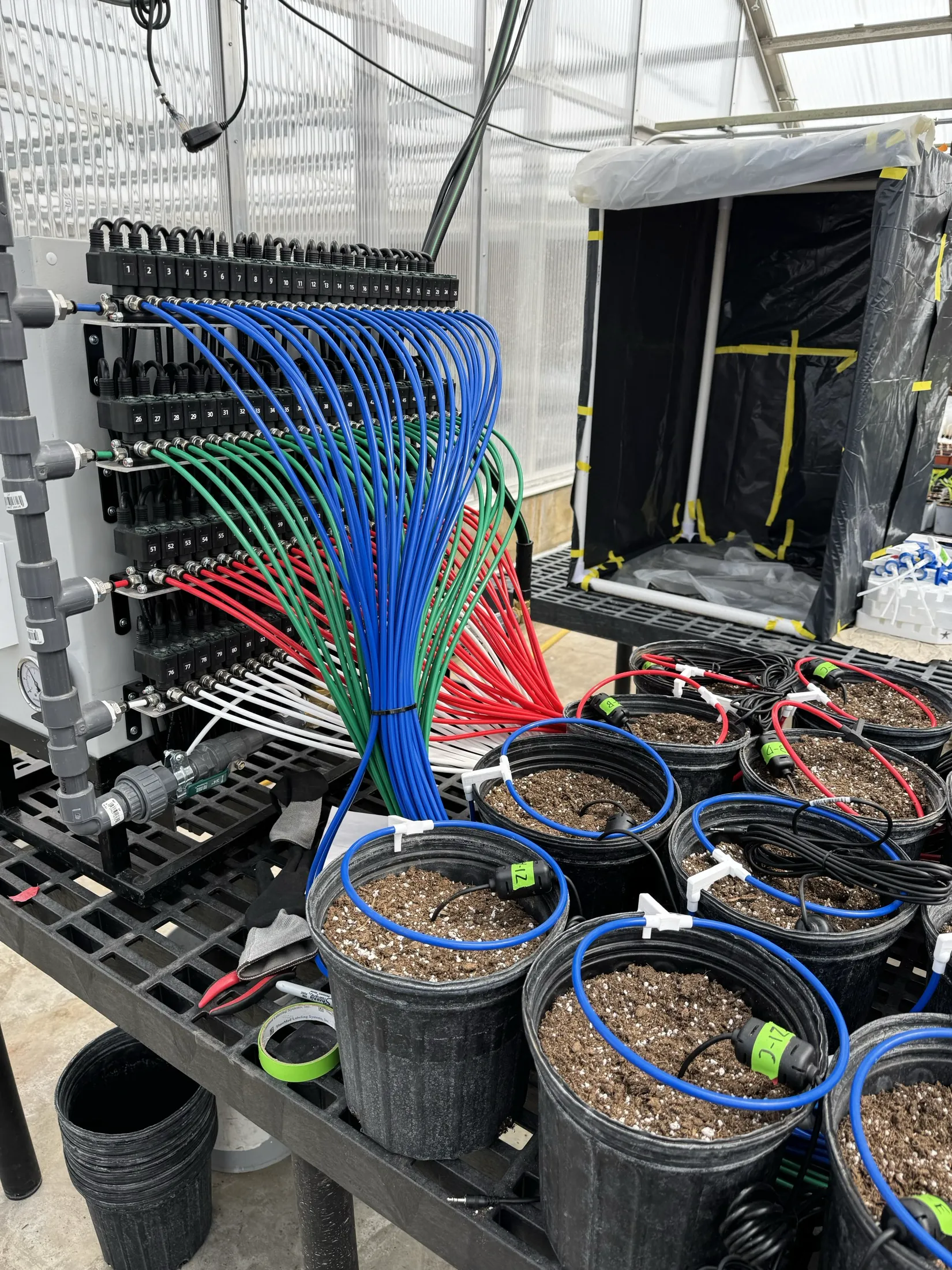 Irrigation valve manifold with color-coded tubing connected to research pots