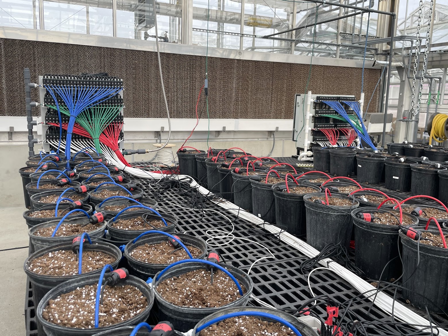 Greenhouse Installation